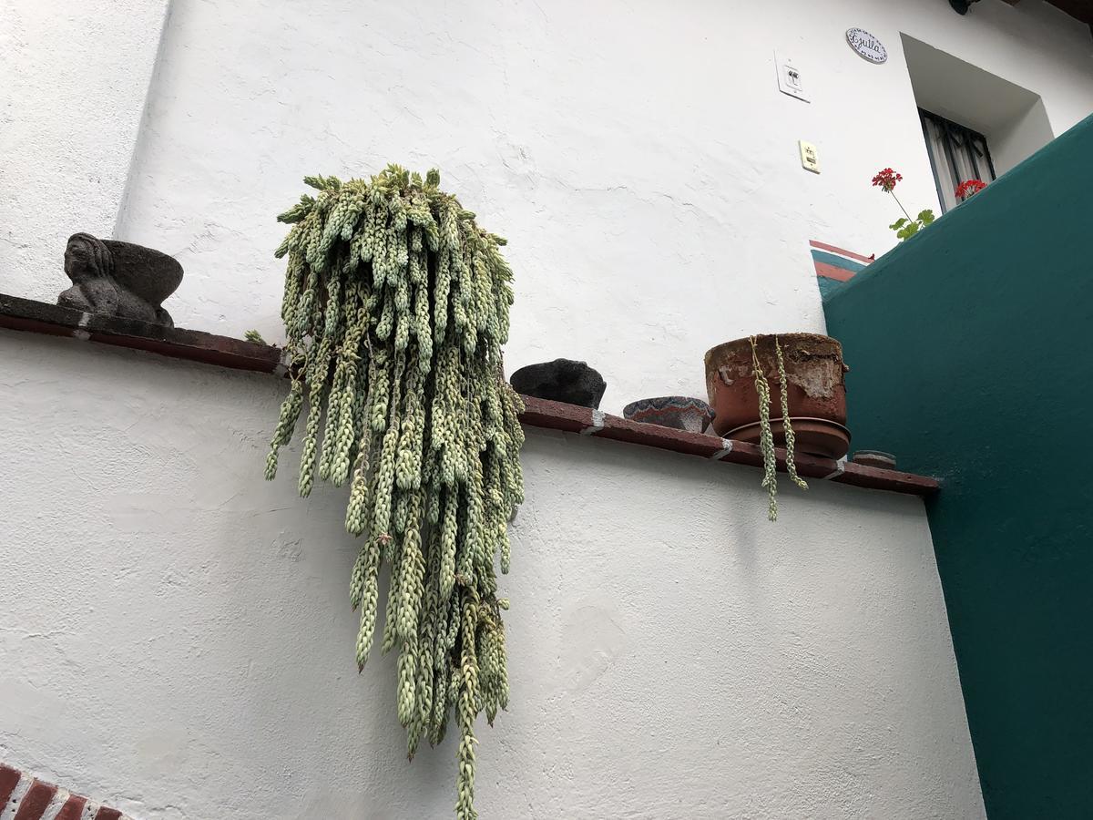 Meson Del Penasco Leilighet Oaxaca Eksteriør bilde